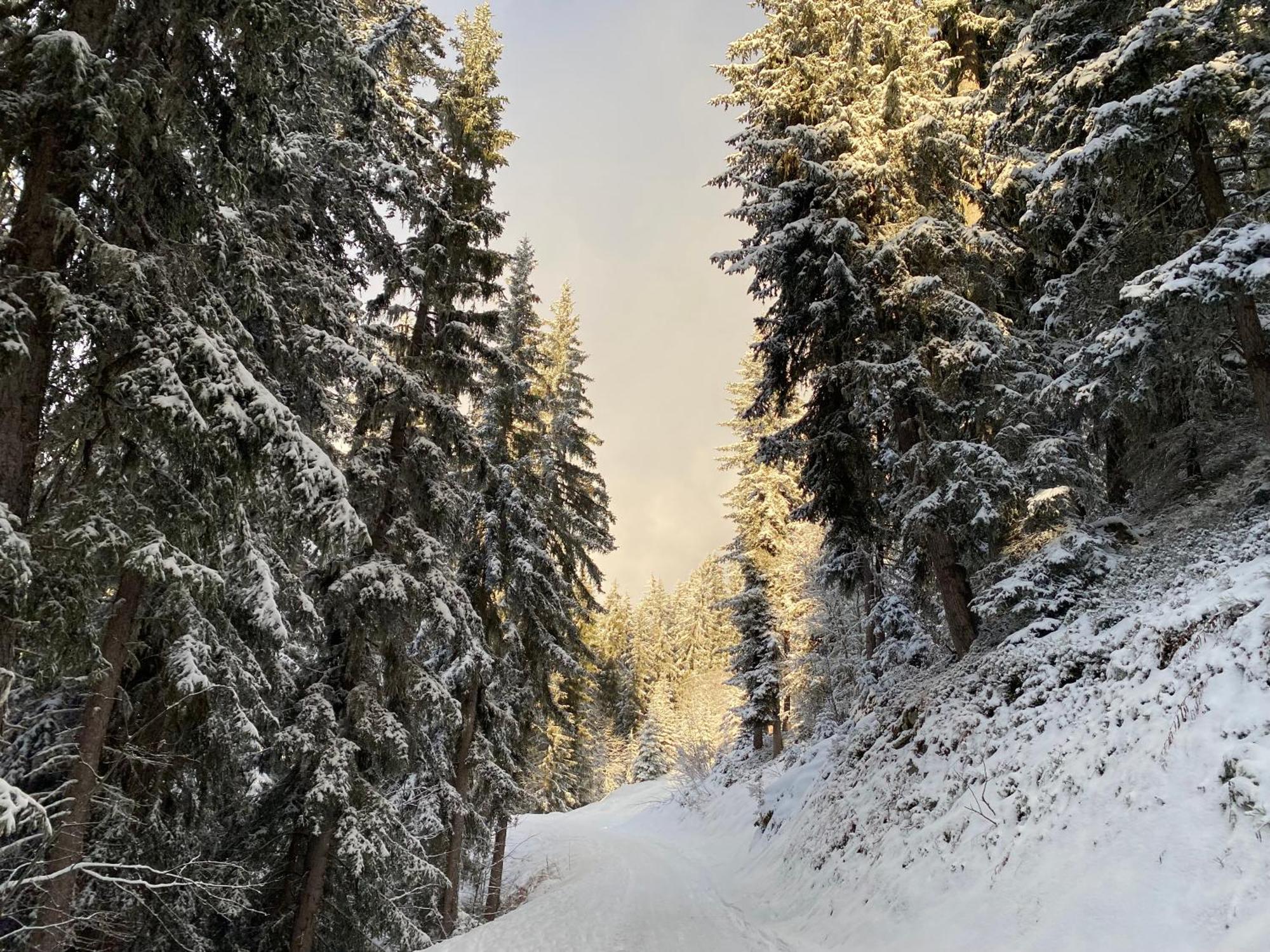Verbier Valmont In Center מראה חיצוני תמונה